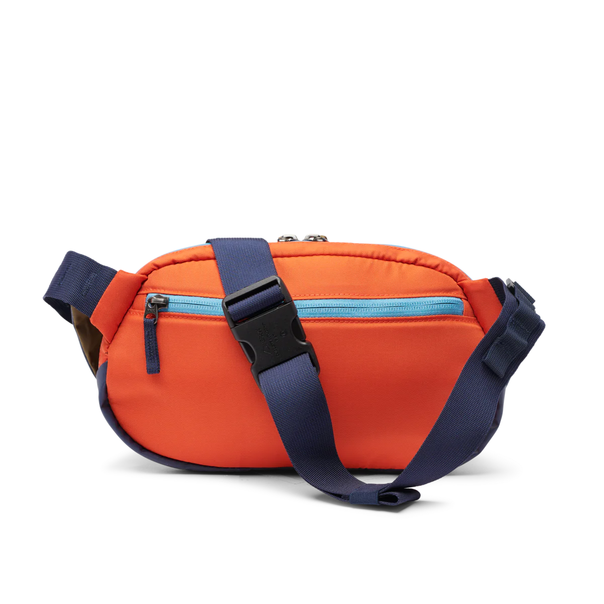 Back view Cotopaxi Coso 2L Hip Pack 